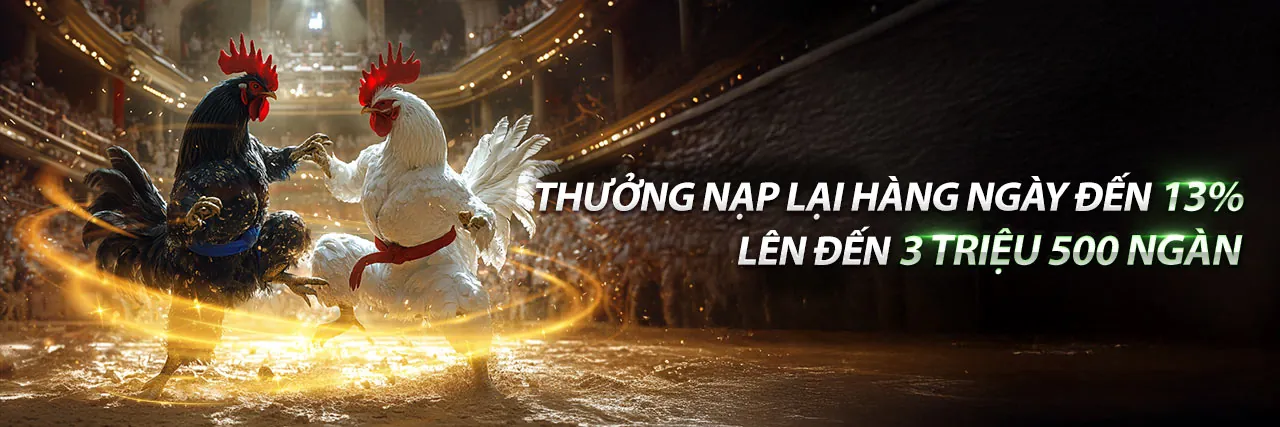 Đá gà trực tuyến kịch tính tại 24win