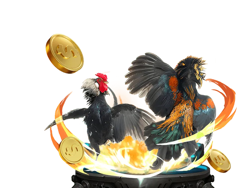 Cá cược Esports 24win